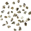 China Green Jade Snail bio