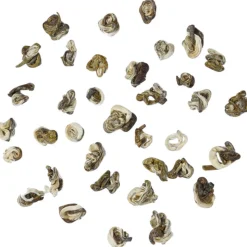 China Green Jade Snail bio