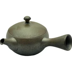 Glänzende Tokoname Kyusu