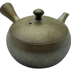 Glänzende Tokoname Kyusu