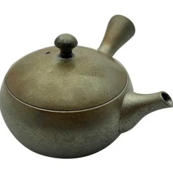 Glänzende Tokoname Kyusu