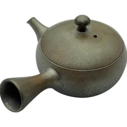 Glänzende Tokoname Kyusu