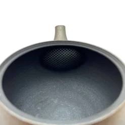 Glänzende Tokoname Kyusu