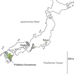 Grüner Tee Sakura-No Sencha