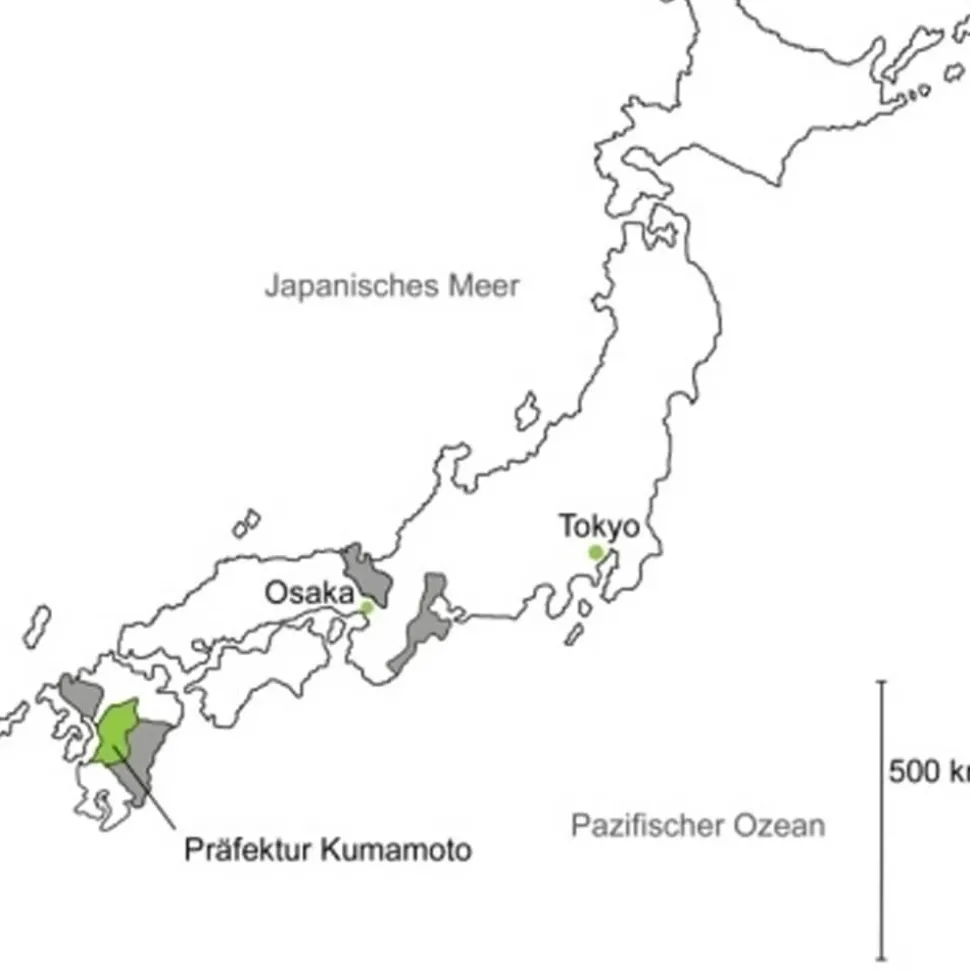 Grüner Tee Sakura-No Sencha