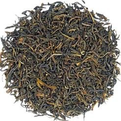Grüner Tee Yuncui bio