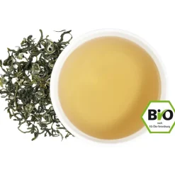 Grüntee Mango Lu Dao bio