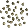 Jasmin Silver Dragon Pearls bio