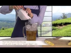 Joy of Tea Ginger & Lemon