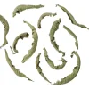 Kräutertee Verveine bio