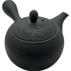Kyusu Isamu aus Tokoname