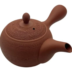 Kyusu Isamu aus Tokoname