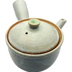 Kyusu Shigaraki