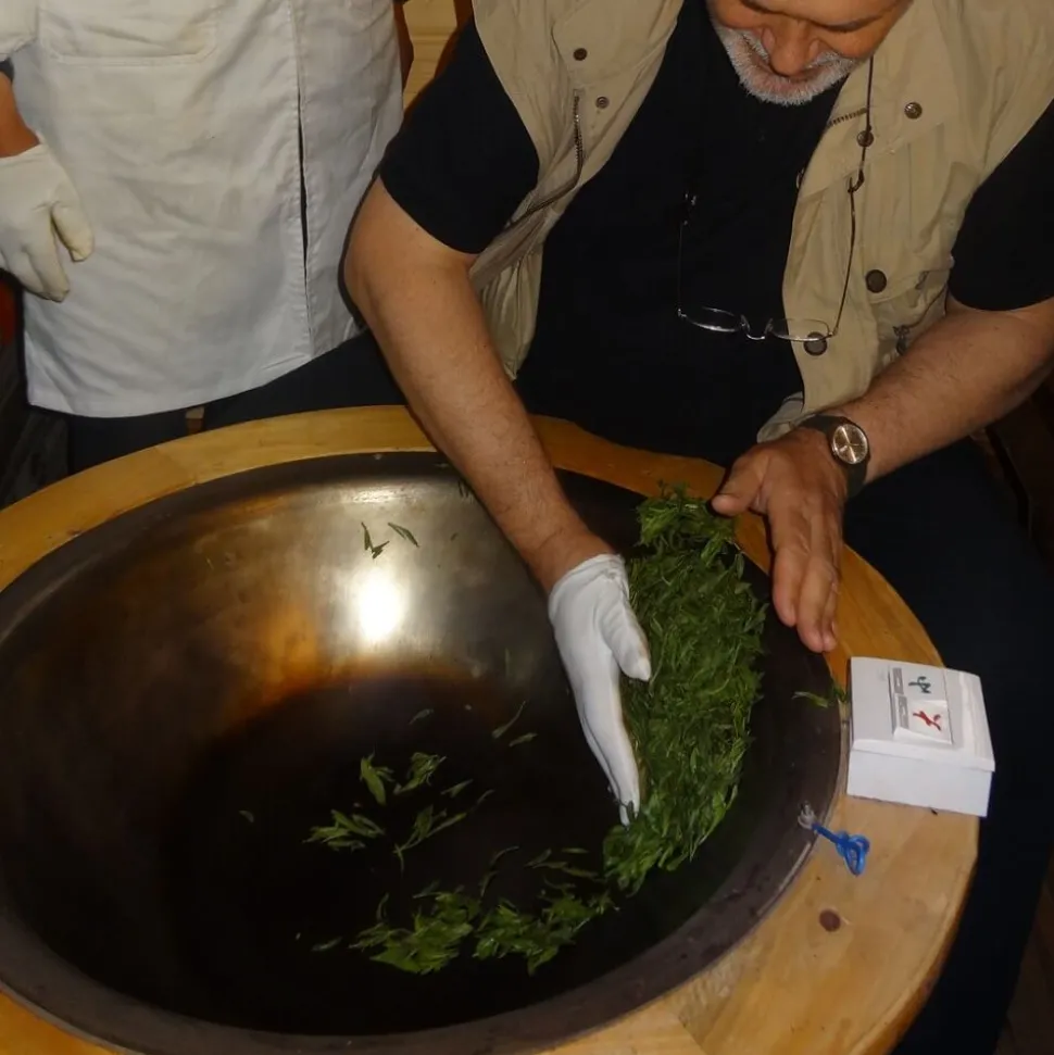 Long Jing Premium bio