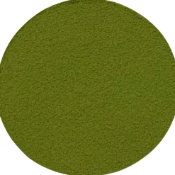 Matcha premium grade bio