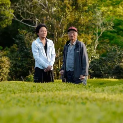 Mie Mizudashi Sencha bio