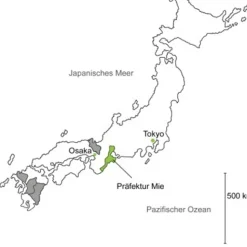 Mie Yamanoka Kabusecha bio