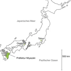 Morimoto Kukicha erste Ernte bio