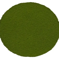 Morimoto Matcha Minami Sayaka bio