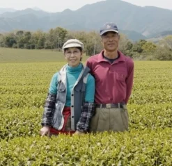 Morimoto Sencha Miyazaki Tokujou bio