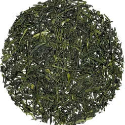 Morimoto Shincha 2024 bio
