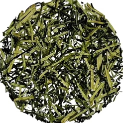 Morimoto Shiraore bio