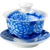 Porzellan Gaiwan farbig