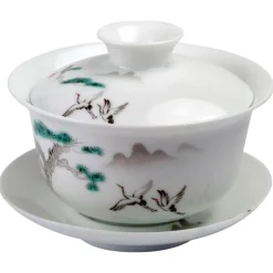 Porzellan Gaiwan farbig