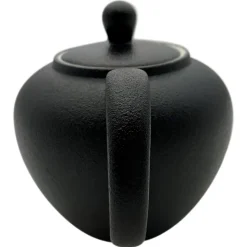 Porzellan Teekanne 300ml