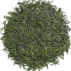 Shincha Asanoka 2023 bio