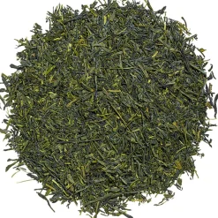 Shincha Atsuhime 2023 bio