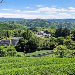 Suikyo Kokudashi Shincha 2024 bio