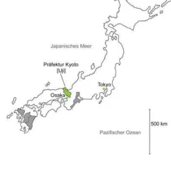 Uji Gyokuro Gokô bio