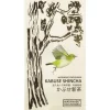 Watanabe Kabuse Shincha 2024 bio