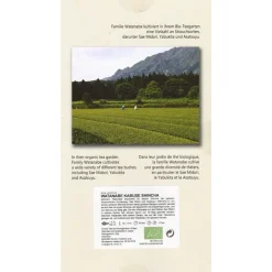 Watanabe Kabuse Shincha 2024 bio