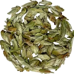 Weißer Tee Gushu Chaya