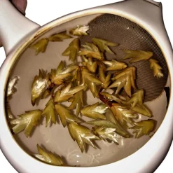 Weißer Tee Gushu Chaya