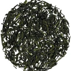Yoru no Ka Shincha 2024 bio